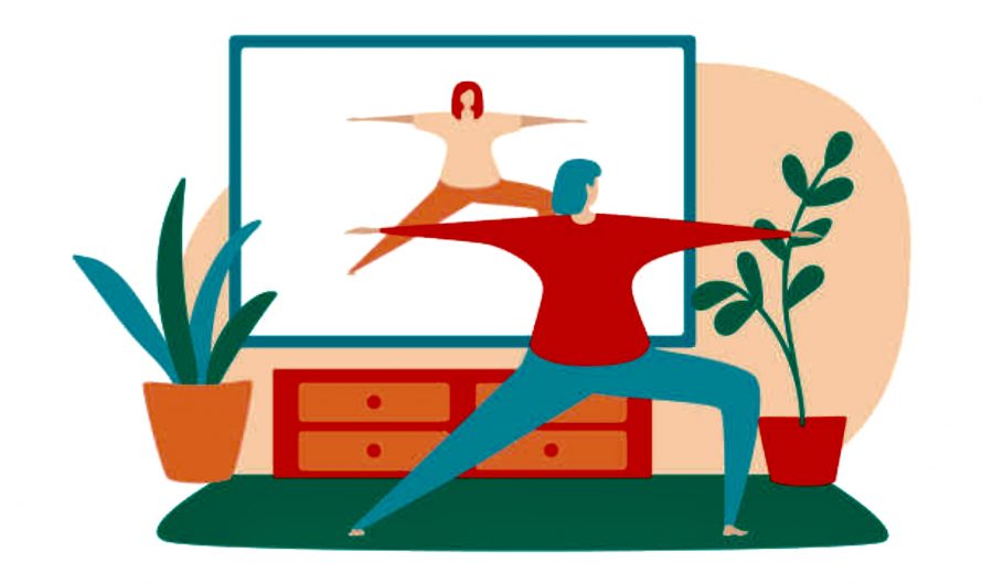 Cours en ligne & au parc !